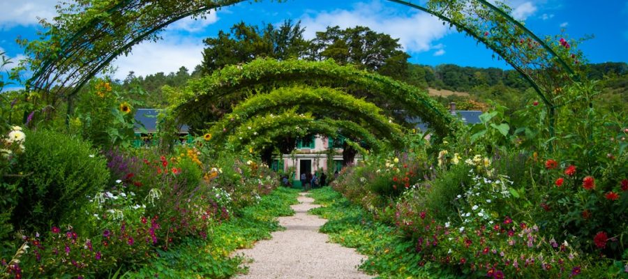 Photo Naturnahe Oasen: Wilde Gartenkonzepte